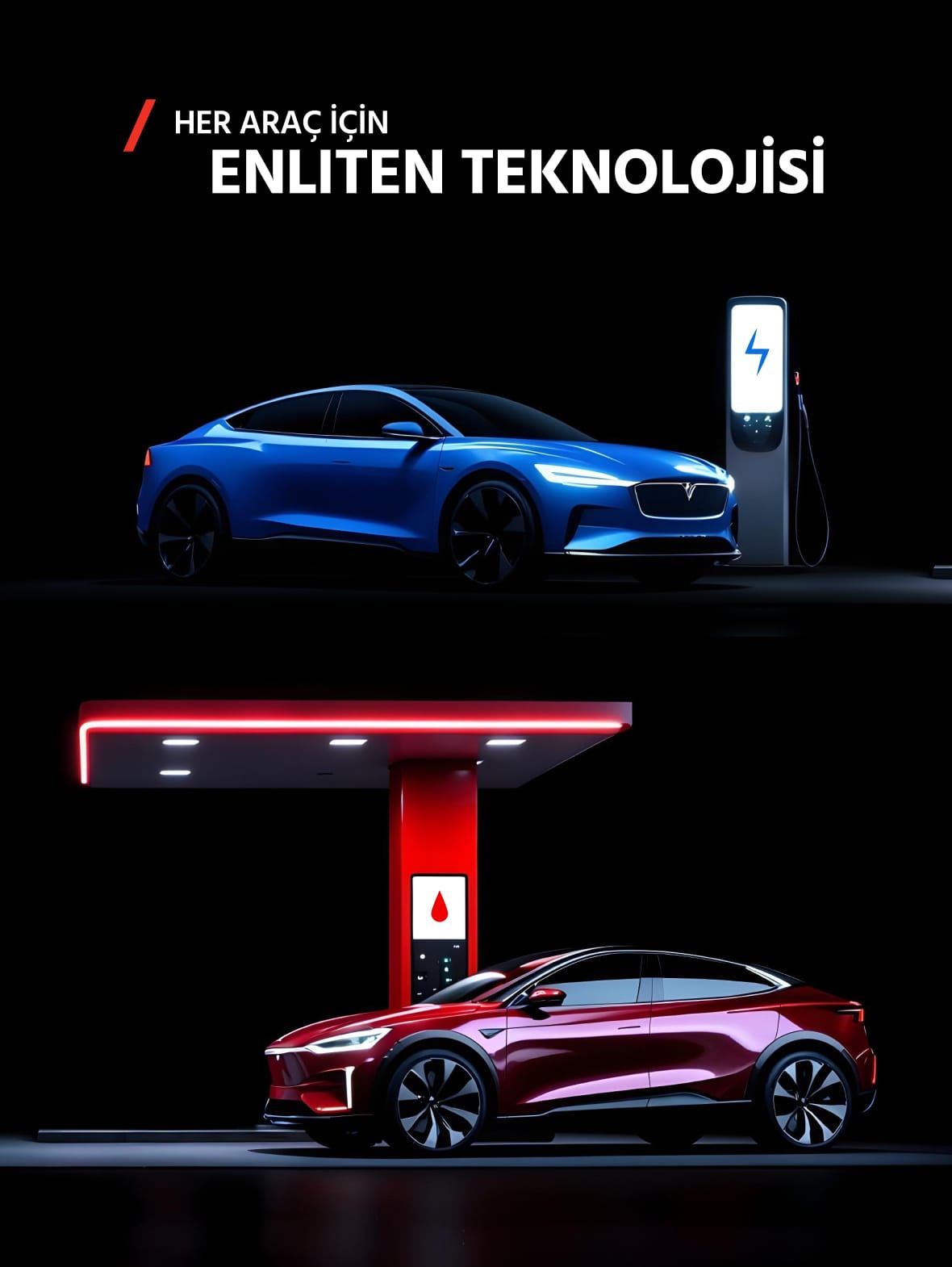 Enliten